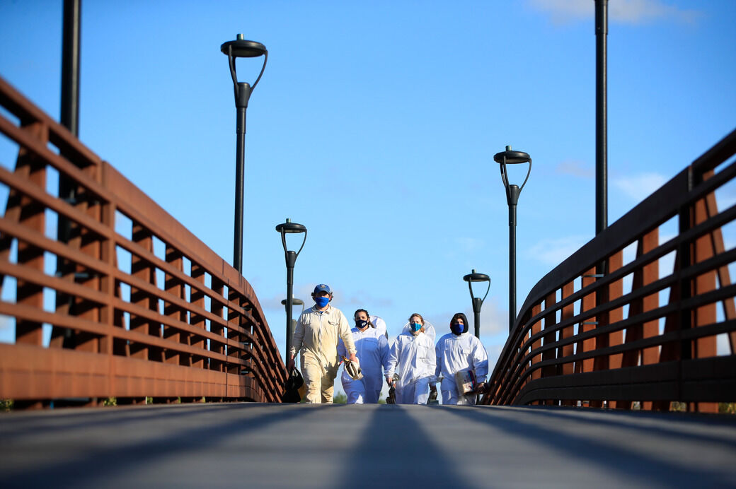 UB bee hives